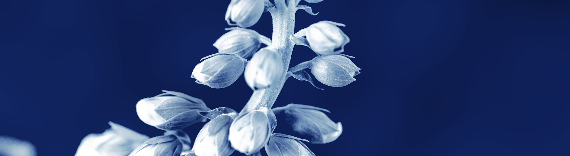 Your guide to inheritance