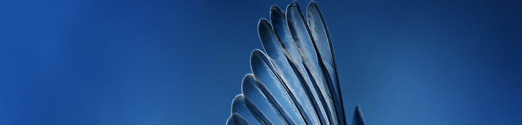 Perpetual Masterfunds