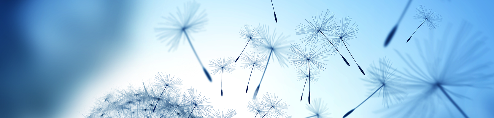 Perpetual Income Share Fund